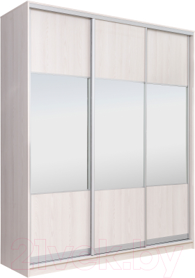 Шкаф Рэйгрупп 203 YYX Elgon РГ-08.01 - фото