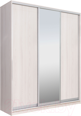 Шкаф Рэйгрупп 203 YYX Elgon РГ-08.02 - фото