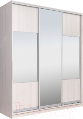 Шкаф Рэйгрупп 176 YYX Elgon РГ-09.06 - фото