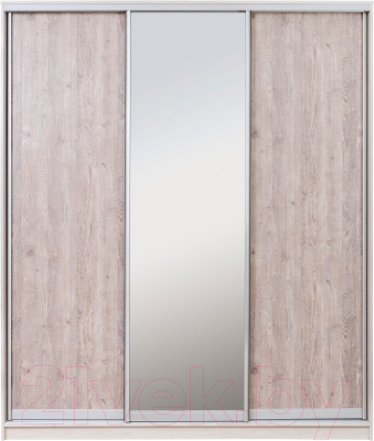 Шкаф-купе Рэйгрупп 203 SSX Elgon РГ-08.02