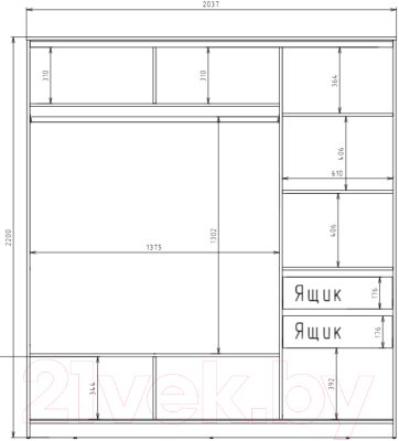 Шкаф-купе Рэйгрупп 203 SSX Elgon РГ-08.03