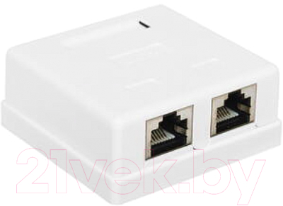 Розетка Hyperline Dual IDC SB1-2-8P8C-C5e-WH RJ45 (8P8C) / 430234 - фото