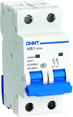 Выключатель автоматический Chint NB1-63H 2P 16A 10кА C (R) / 179826 - фото