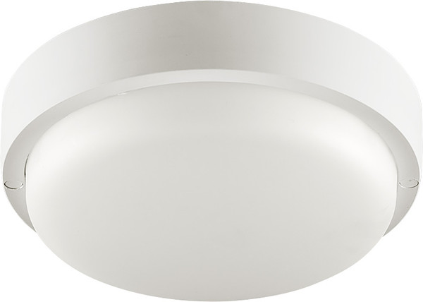 Светильник ЖКХ Wolta LCL04-18W-R01-6K - фото