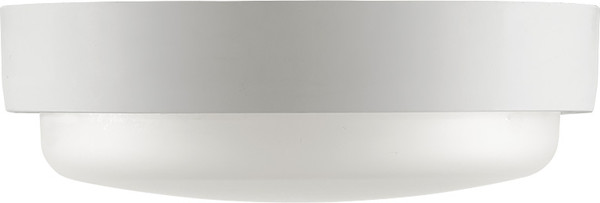 Светильник ЖКХ Wolta LCL04-18W-R01-6K