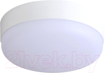 Светильник ЖКХ Фаза ДПО-1034 5033061 - фото