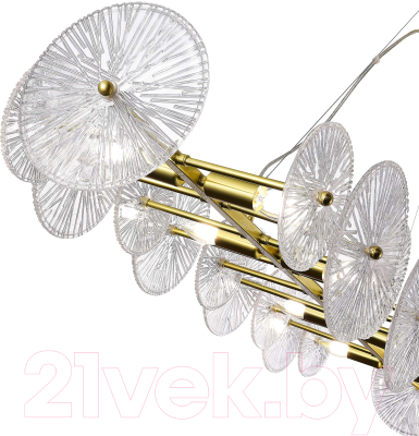 Люстра ST Luce SL1657.213.08