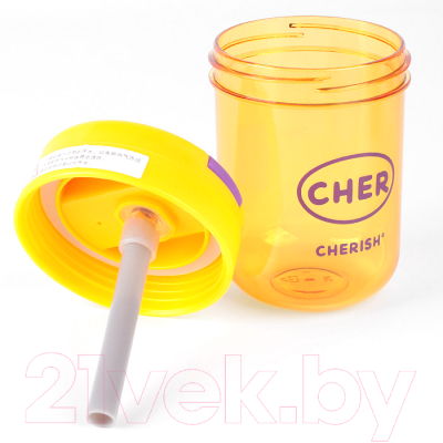 Бутылка для воды Darvish DV-H-1539-2