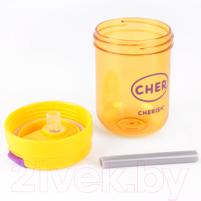 Бутылка для воды Darvish DV-H-1539-2