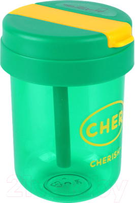 Бутылка для воды Darvish DV-H-1539-1 - фото