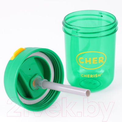 Бутылка для воды Darvish DV-H-1539-1