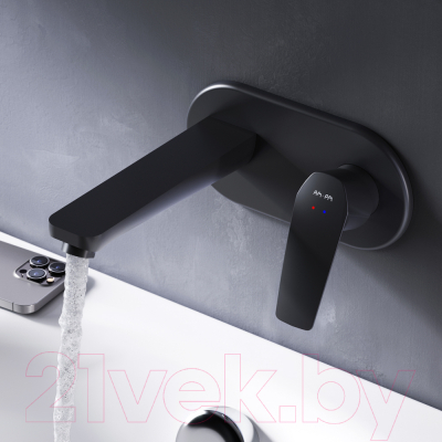 Смеситель AM.PM Gem F90A72222 (черный)