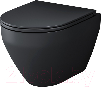 Унитаз подвесной AM.PM Spirit C701700MBSC (с сиденьем) - фото