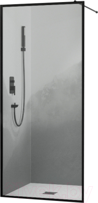 Душевая стенка RGW WA-012-B / 35101280-84 - фото