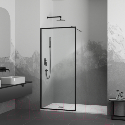 Душевая стенка RGW WA-012-B / 35101280-84