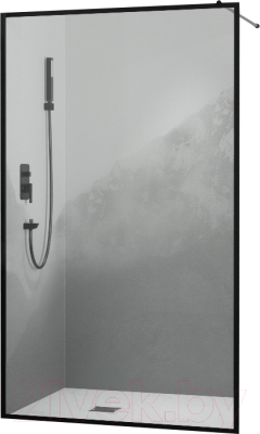 Душевая стенка RGW WA-012-B / 35101210-84 - фото