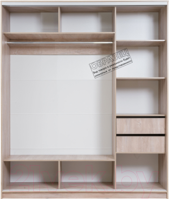 Шкаф Рэйгрупп 203 VVX Elgon РГ-02.01