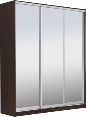 Шкаф Рэйгрупп 203 VVX Elgon РГ-02.04 - фото