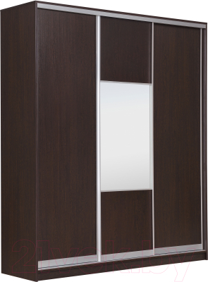 Шкаф Рэйгрупп 203 VVX Elgon РГ-02.05 - фото