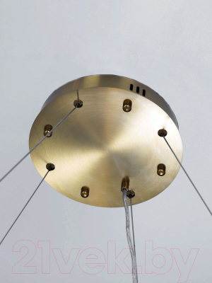 Потолочный светильник Citilux Ричард CL336103