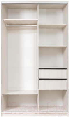 Шкаф Рэйгрупп 120 YSX Elgon РГ-12.01