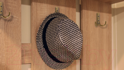 Крючок для одежды Boyard Domani K252MAB.6