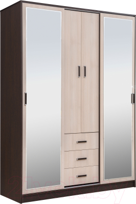 Шкаф-купе Рэйгрупп 160 VH Elza EL-01.01 - фото