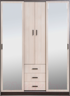 Шкаф-купе Рэйгрупп 160 VH Elza EL-01.01