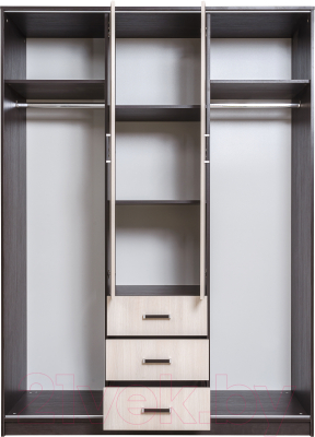 Шкаф-купе Рэйгрупп 160 VH Elza EL-01.01