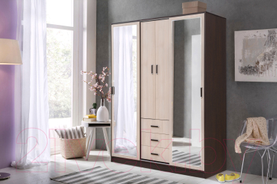 Шкаф-купе Рэйгрупп 160 VH Elza EL-01.01