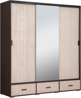 Шкаф Рэйгрупп 199 VHG Elza EL-01.02 - фото