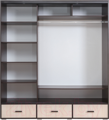 Шкаф Рэйгрупп 199 VHG Elza EL-01.02