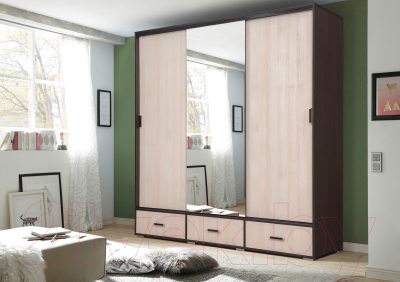 Шкаф Рэйгрупп 199 VHG Elza EL-01.02