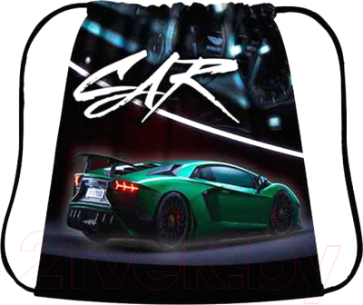 Мешок для обуви Пчелка Green Car / СДС-3 - фото