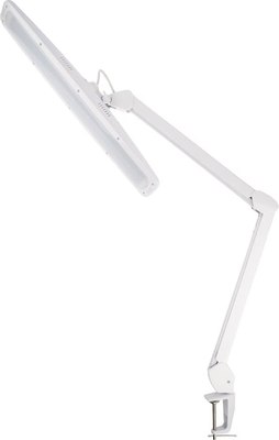 Настольная лампа Rexant Eco light 31-0401  - фото