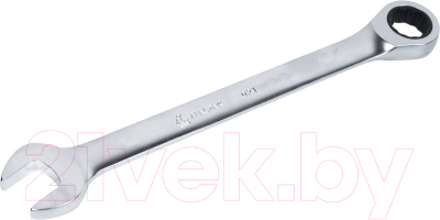 Гаечный ключ Мастак 021-30032H - фото