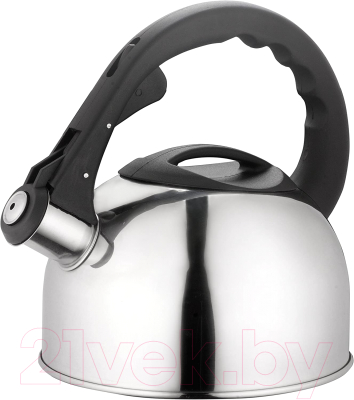 Чайник со свистком Astiat AST1020 - фото