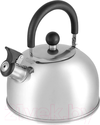 Чайник со свистком Astiat AST1030 (3.0л) - фото