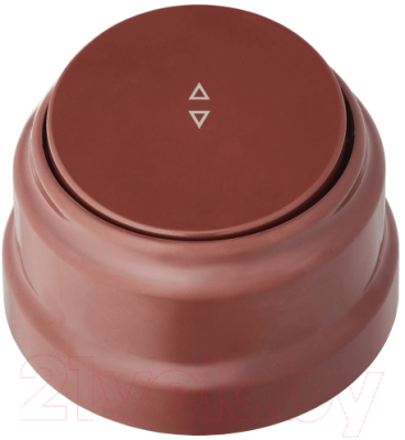 Выключатель Bylectrica А6 10-2261 - фото