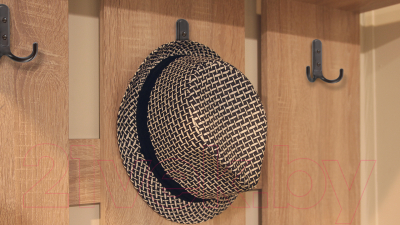 Крючок для одежды Boyard Domani K252AC.6