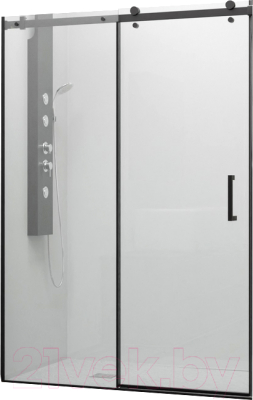 Душевая дверь RGW TO-14B / 02071414-14 - фото