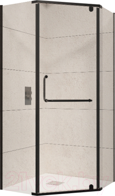 Душевой уголок RGW PA-081 B / 35088199-14 - фото