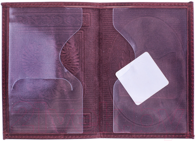 Обложка на паспорт OfficeSpace KPs_1643 / 176868