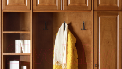 Крючок для одежды Boyard Domani K352AC.6 43500Z14001.22