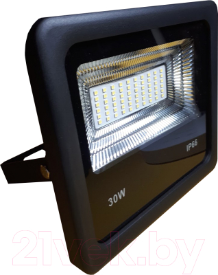 Прожектор БЭЛЗ ДДУ 30W 002 SET108 / 42898 - фото
