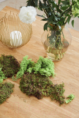 Журнальный столик Dipriz Detlef Д.7411-03 (дуб масло)