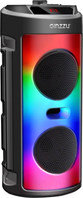 Портативная колонка Ginzzu GM-231 - фото