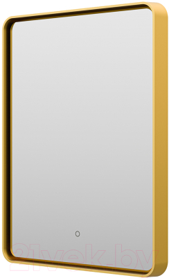 Зеркало Brevita Mercury MER-Rett6-060/80-gold - фото