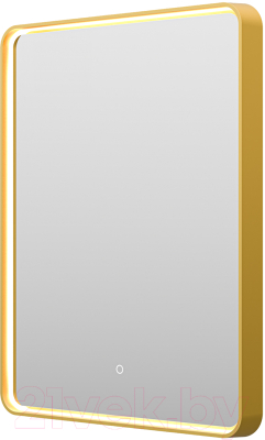 Зеркало Brevita Mercury MER-Rett6-060/80-gold