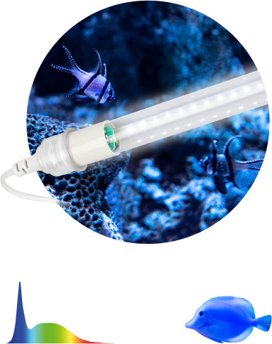 Светильник для аквариума ЭРА FITO-10W-Ra90-Т8-AQUA / Б0057417